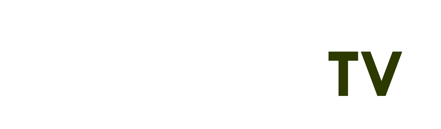 trực tiêp bóng đá